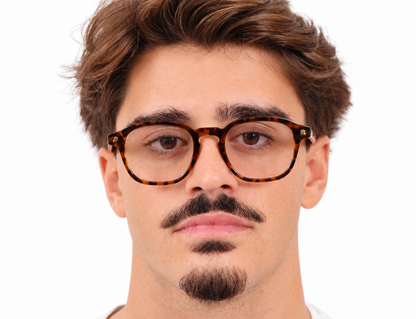 Snob Milano "Cabriolet" Polarized - Light Tortoise Brown
