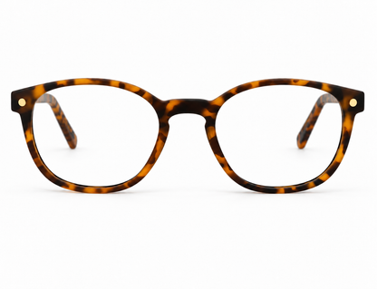 Snob Milano "Radetzky" - Polarized Matt Tortoise Brown