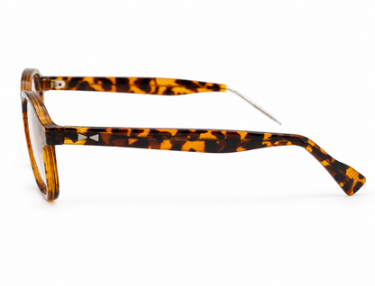 Snob Milano "Cabriolet" Polarized - Light Tortoise Brown